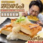 竹内商店 こだわりの厚揚げ6枚セット 厚あげ