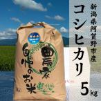 コシヒカリ 5kg