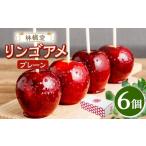 リンゴアメ プレーン 6個セット りんご飴