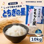 お米 白米 とちぎの星 10kg