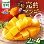 完熟マンゴー 2L×4玉