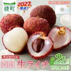 希少 綾 生ライチ 大粒 2L