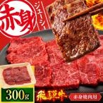 飛騨牛 赤身 焼肉用 300g