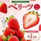 ベリーツ 約250g×4P