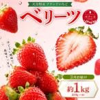 ベリーツ 約250g×4P