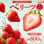 ベリーツ 約200g×4P