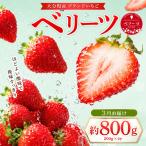 ベリーツ 約200g×4P