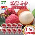 希少 綾生ライチ お裾分け セット 1.6kg