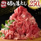 ハラミ 牛肉 焼肉 特製 たれ漬 サガリ 250g
