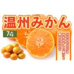 温州みかん 約7kg