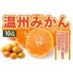 温州みかん 約10kg