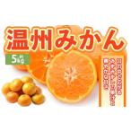 温州みかん 約5kg