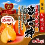 甘さにニッコリ なめらか食感 日本最大級の柿