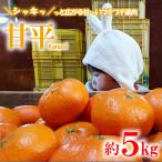 甘平 約5kg