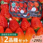 イチゴ2品種 4パックセット