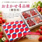 いちご おまかせ4品種