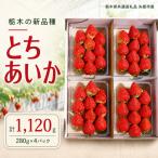 澳原さんのとちあいか 1 120g