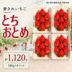澳原さんのとちおとめ 1 120g