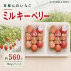 澳原さんのミルキーベリー 560g