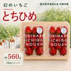 澳原さんのスカイベリー 560g