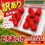 訳あり 粒不揃い とちあいか 1 120g