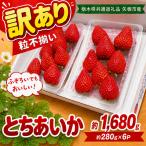 訳あり 粒不揃い とちあいか 1 680g