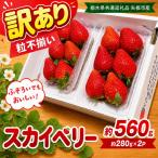 訳あり 粒不揃い スカイベリー 560g