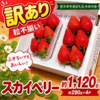 訳あり 粒不揃い スカイベリー 1 120g
