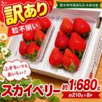 訳あり 粒不揃い スカイベリー 1 680g