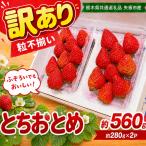 訳あり 粒不揃い とちおとめ 560g