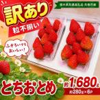 訳あり 粒不揃い とちおとめ 1 680g