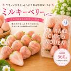 いちご ミルキーベリー 560g