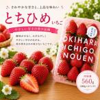 とちひめ 560g