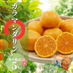 カラマンダリン 秀~優品 5kg