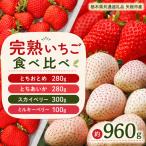 いちご4品種 食べ比べセット 960g