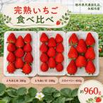 いちご3品種 食べ比べセット 960g