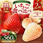 澳原さんのいちご2種類食べ比べ 560g