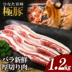 豚バラ ひなた宮崎極豚バラ新鮮厚切り肉 計1.2kg
