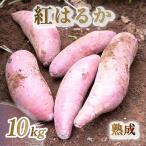 紅はるか さつまいも 10kg