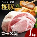 ひなた宮崎極豚ロース塊 500g×2P