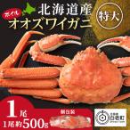 大ズワイ 500g×1尾