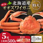 大ズワイ 500g×5尾
