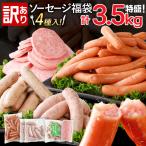 ソーセージ 訳あり 特盛 ソーセージ食べ比べまんぷく福袋 …