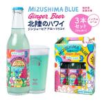 MIZUSHIMA BLUE 北陸のハワイ