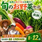 旬の季節の野菜セット