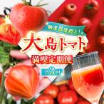 トマトづくし定期便