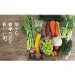 B121 山野りんりんオリジナルボックスで送る旬の野菜とフル…