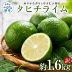 訳あり タヒチライム 約1.6kg