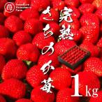 完熟さちのか苺 1kg