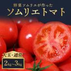 トマト 大玉 2kg~3kg レッドアップ